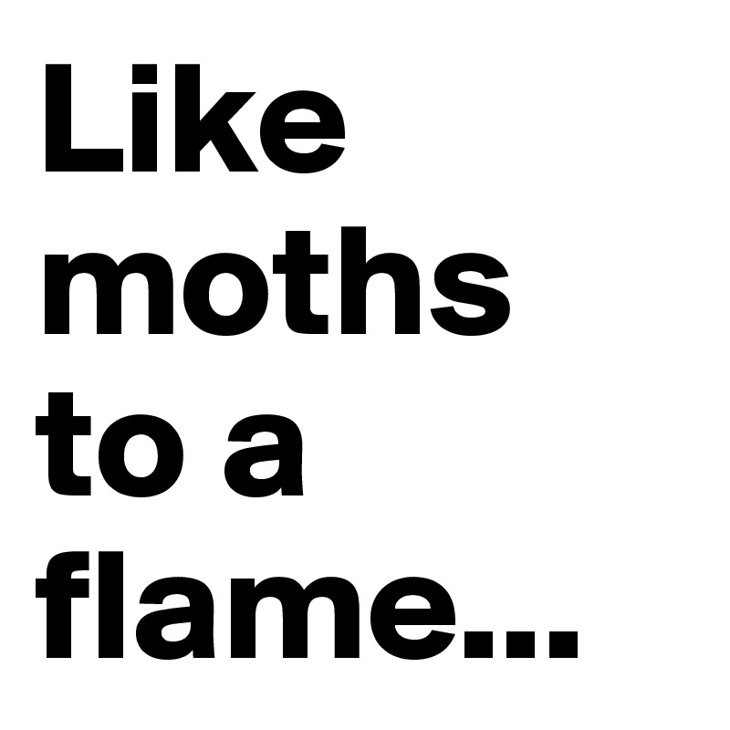 Like moths to a flame...