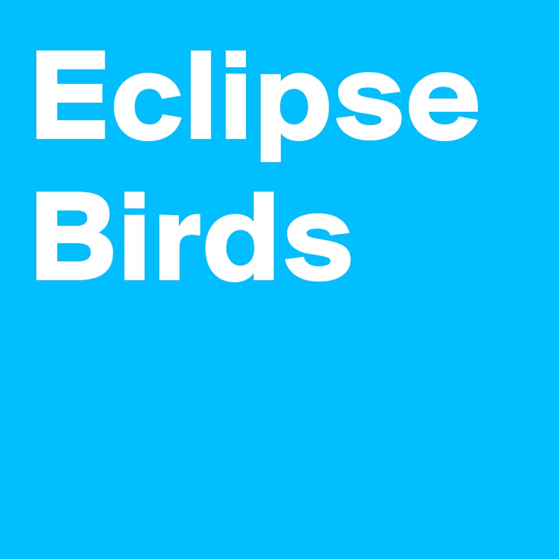 Eclipse Birds