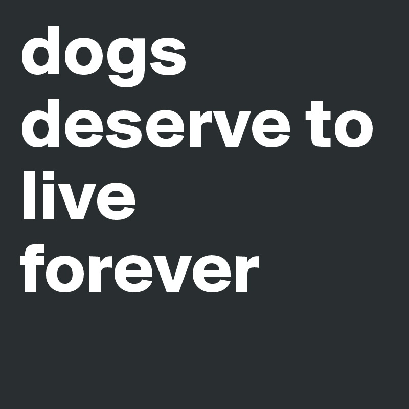 dogs deserve to live forever
