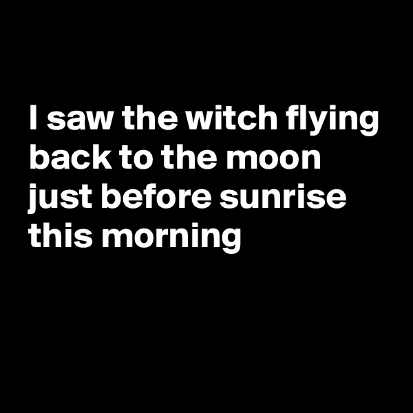 

 I saw the witch flying
 back to the moon
 just before sunrise
 this morning


