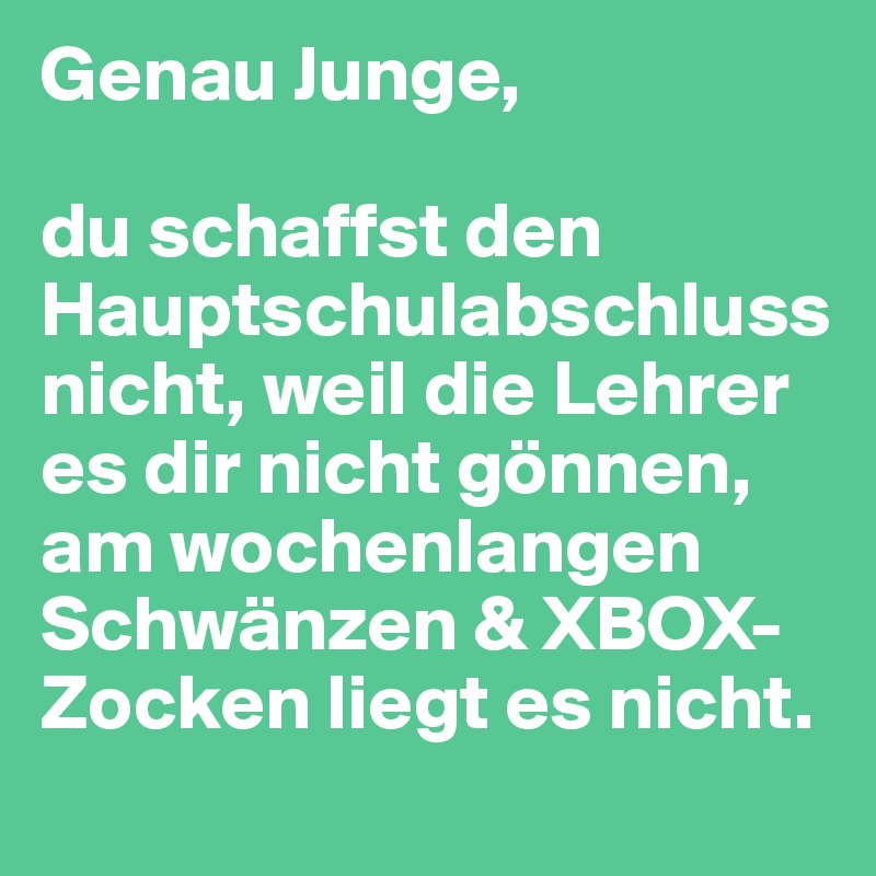 Genau Junge, 

du schaffst den Hauptschulabschluss nicht, weil die Lehrer es dir nicht gönnen, am wochenlangen Schwänzen & XBOX-Zocken liegt es nicht.