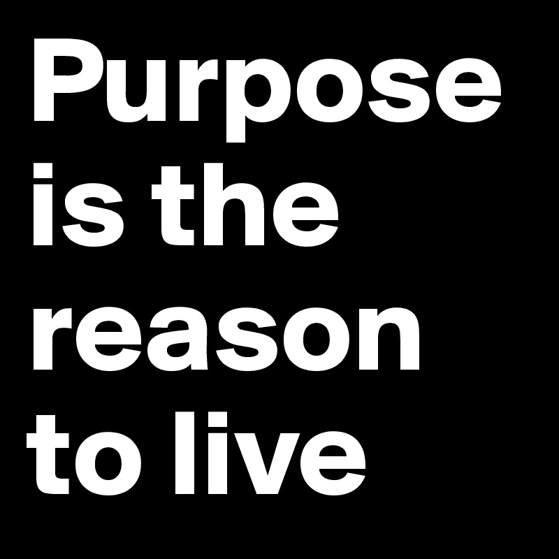 purpose-is-the-reason-to-live-post-by-littlespark-on-boldomatic