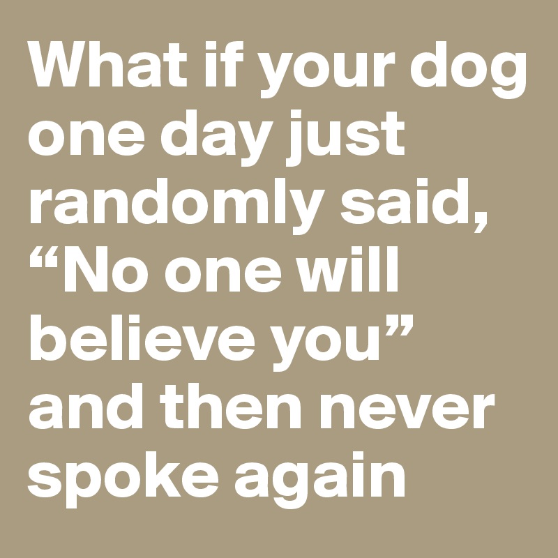 What if your dog one day just randomly said, “No one will believe you” and then never spoke again