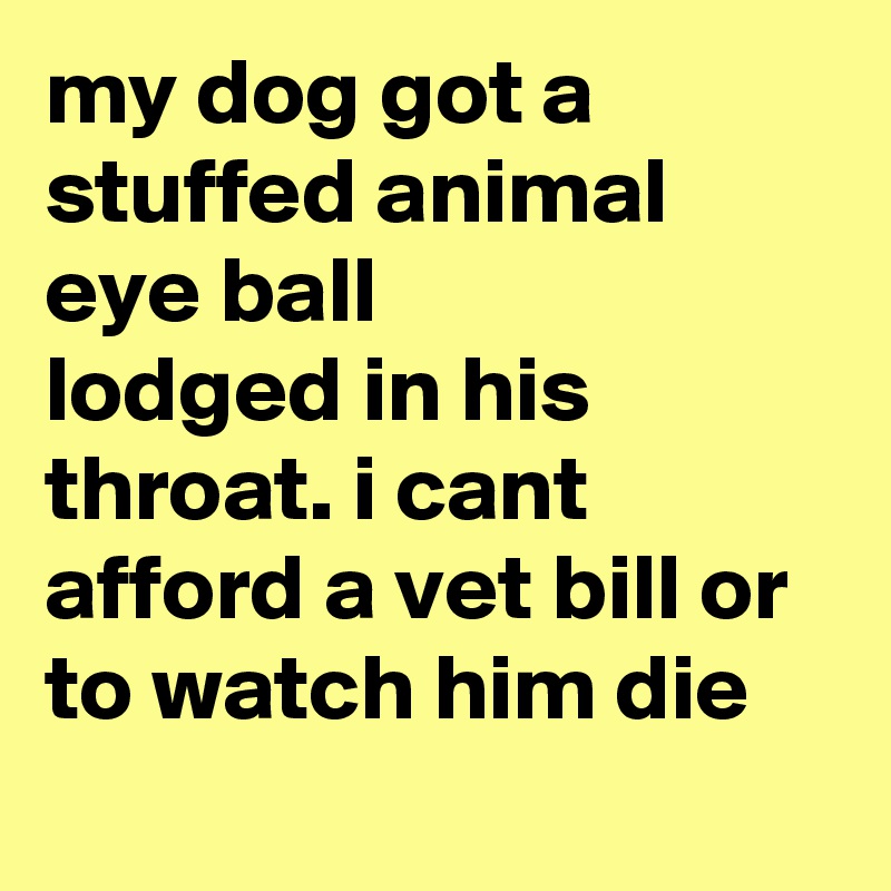 my dog got a stuffed animal eye ball
lodged in his throat. i cant afford a vet bill or to watch him die

