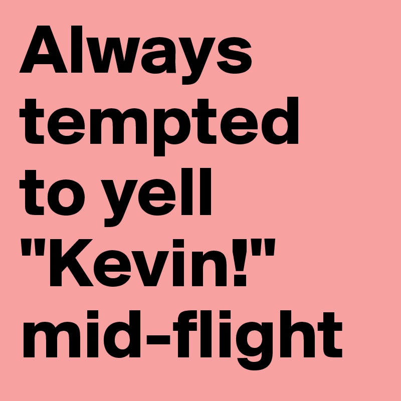 Always tempted to yell "Kevin!" mid-flight