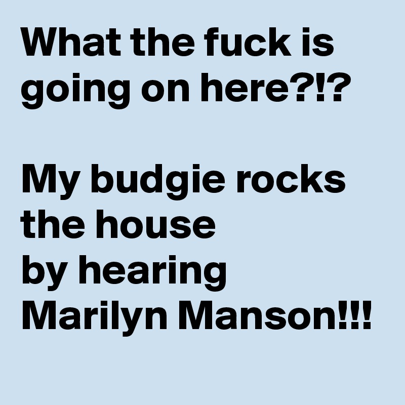 What the fuck is going on here?!?

My budgie rocks the house
by hearing Marilyn Manson!!!