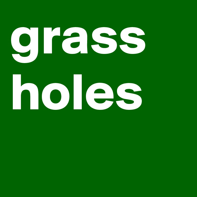grass
holes