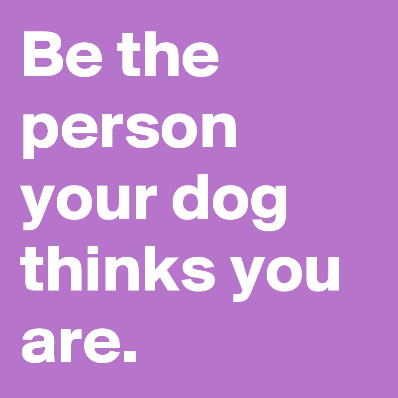 Be the person your dog thinks you are. 