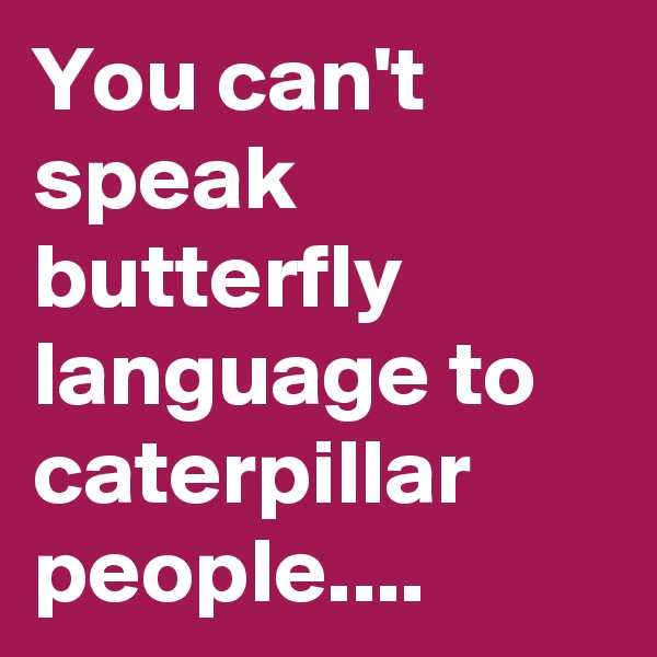 You can't speak butterfly language to caterpillar people....