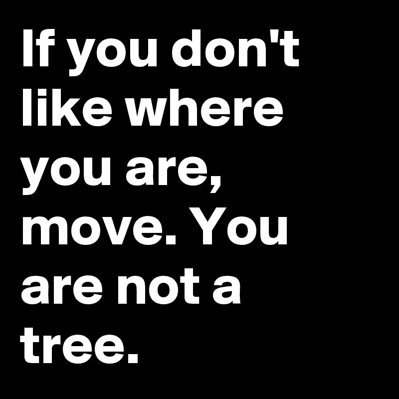 If you don't like where you are, move. You are not a tree.