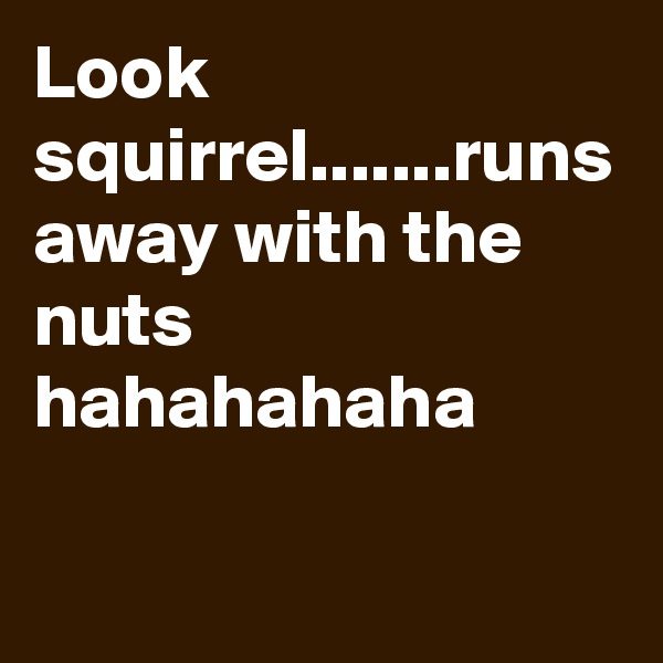 Look squirrel.......runs away with the nuts hahahahaha