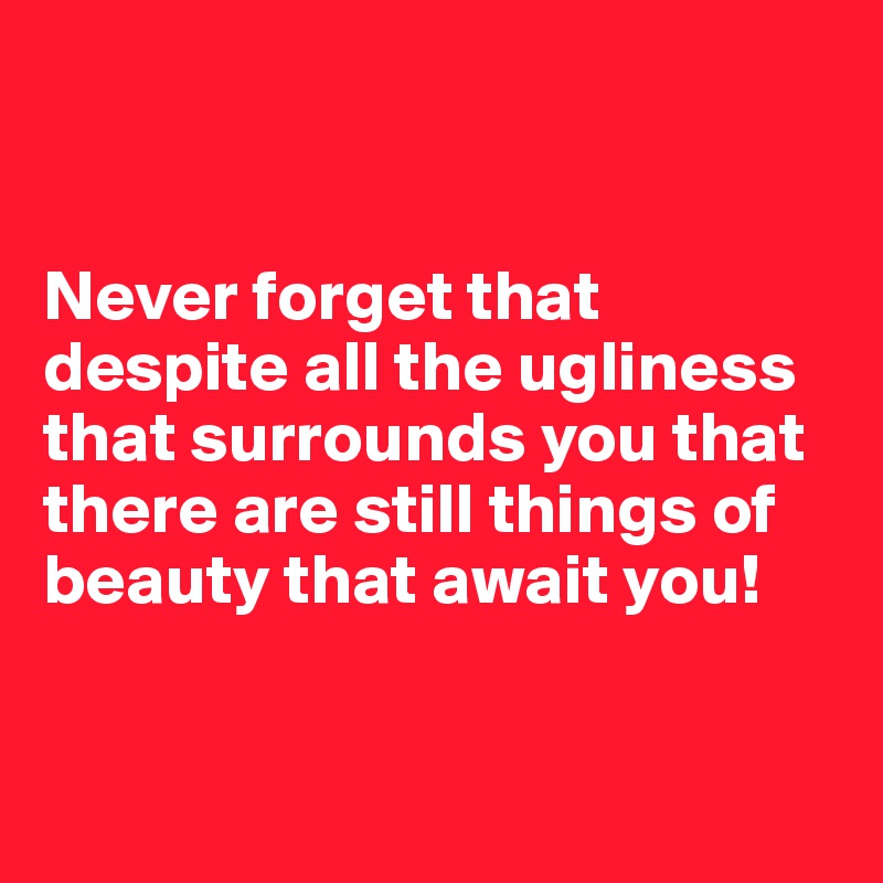 


Never forget that despite all the ugliness that surrounds you that there are still things of beauty that await you!


