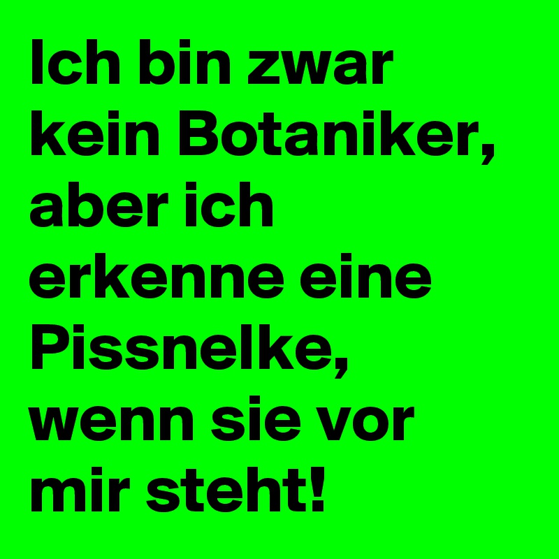 Ich bin zwar kein Botaniker, aber ich erkenne eine Pissnelke, wenn sie vor mir steht!