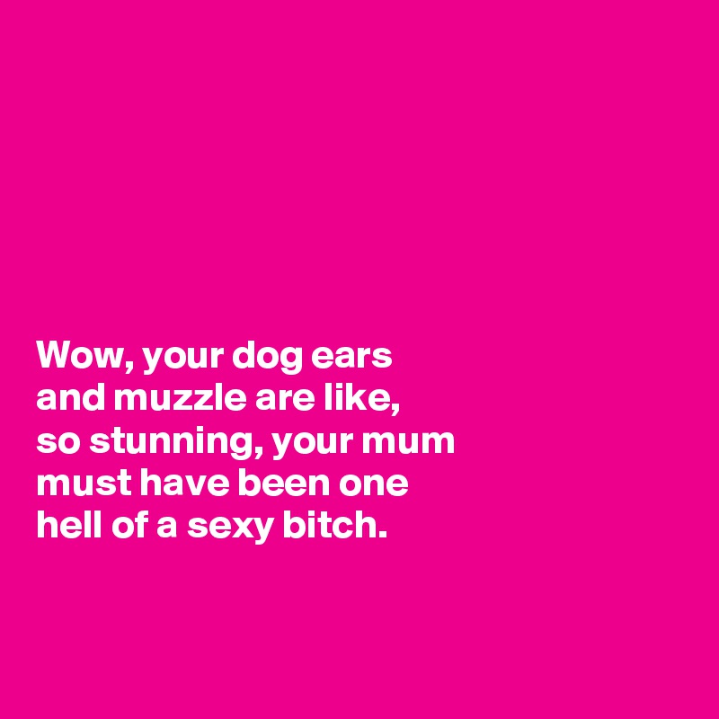 






Wow, your dog ears 
and muzzle are like, 
so stunning, your mum 
must have been one 
hell of a sexy bitch. 


