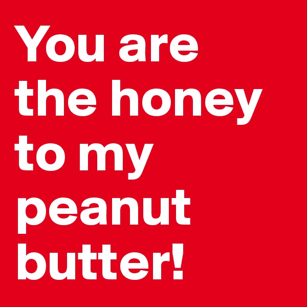 You are the honey to my peanut butter!
