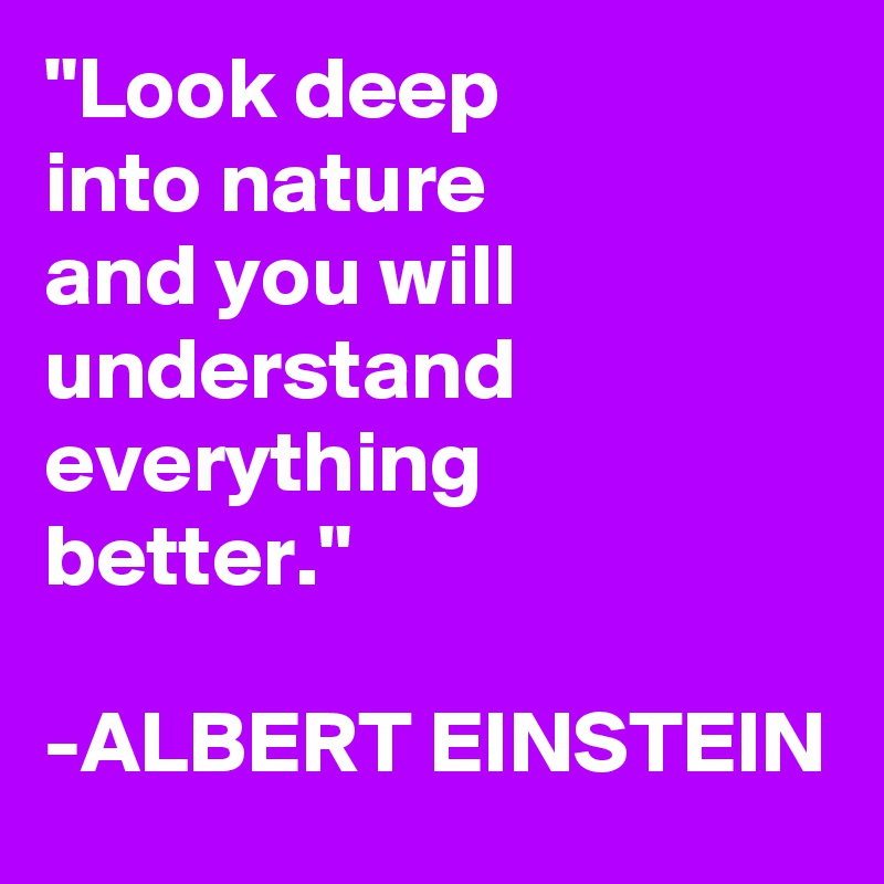 "Look deep
into nature
and you will
understand
everything
better."

-ALBERT EINSTEIN