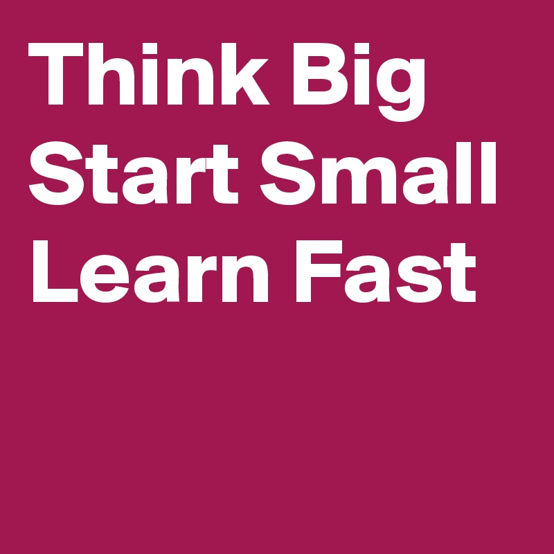 Think Big   Start Small Learn Fast 
