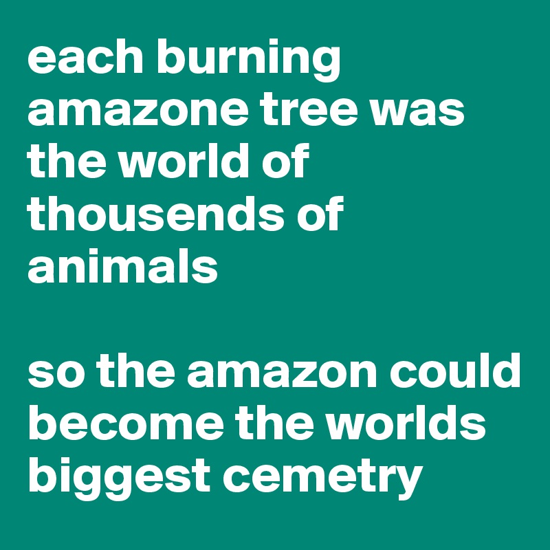 each burning amazone tree was the world of thousends of animals

so the amazon could become the worlds biggest cemetry