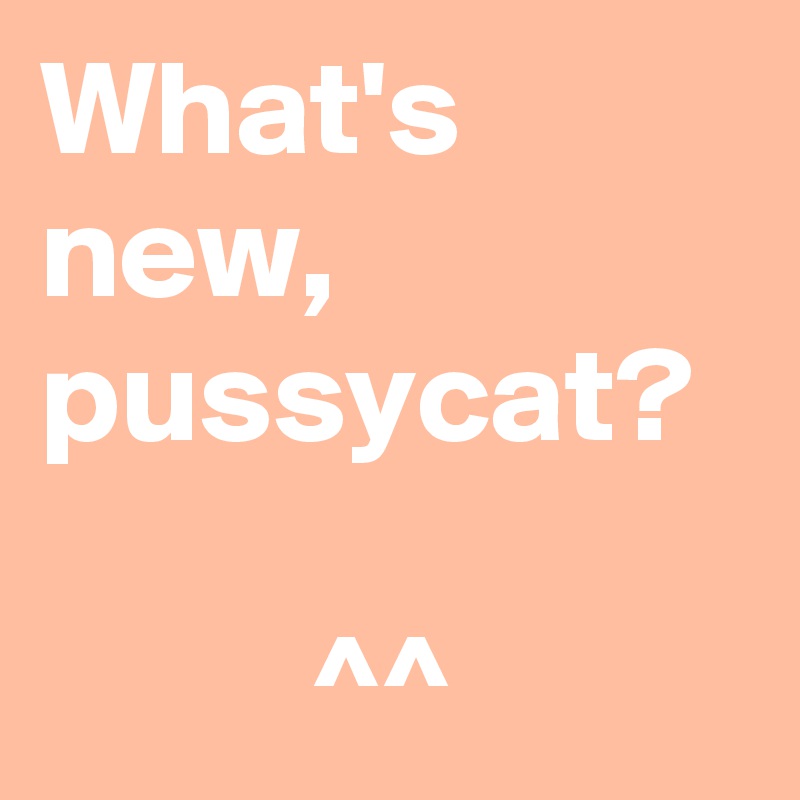 What's new, pussycat?

          ^^