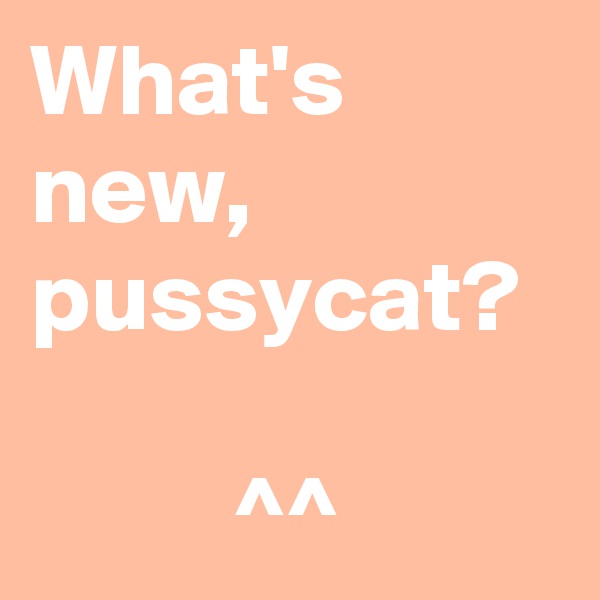 What's new, pussycat?

          ^^