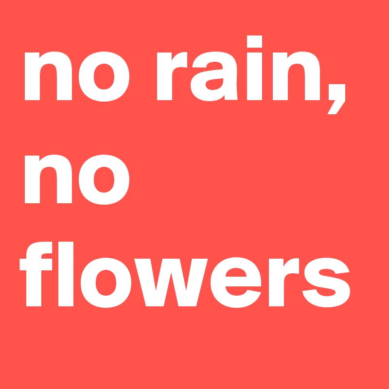 no rain, 
no flowers 
