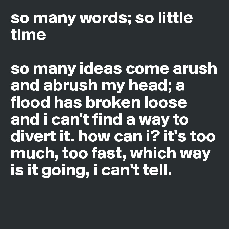 so many words; so little time

so many ideas come arush and abrush my head; a flood has broken loose and i can't find a way to divert it. how can i? it's too much, too fast, which way is it going, i can't tell.


