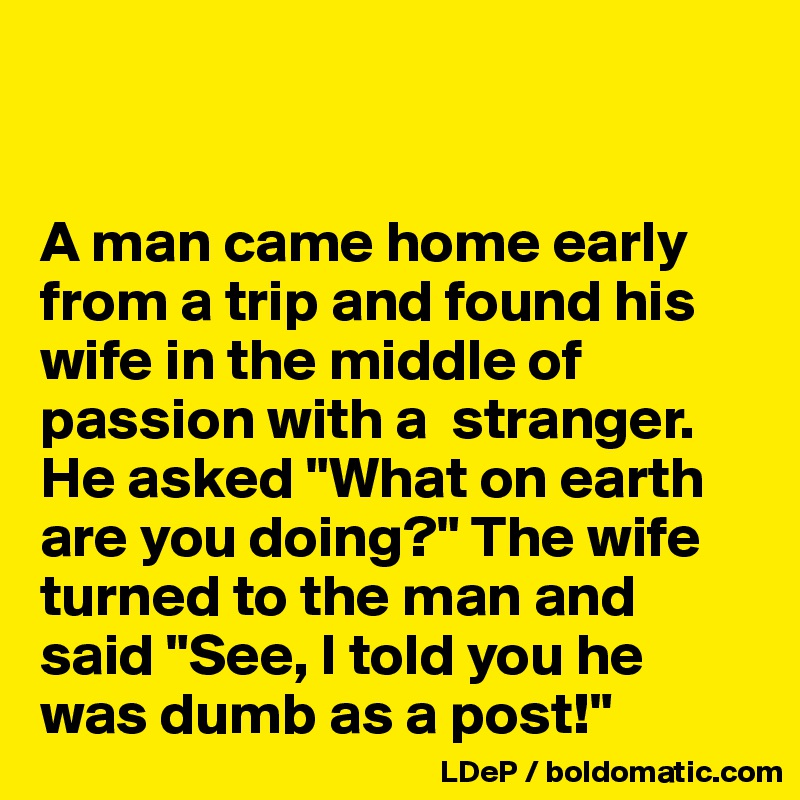 


A man came home early from a trip and found his wife in the middle of passion with a  stranger. He asked "What on earth are you doing?" The wife turned to the man and said "See, I told you he was dumb as a post!"