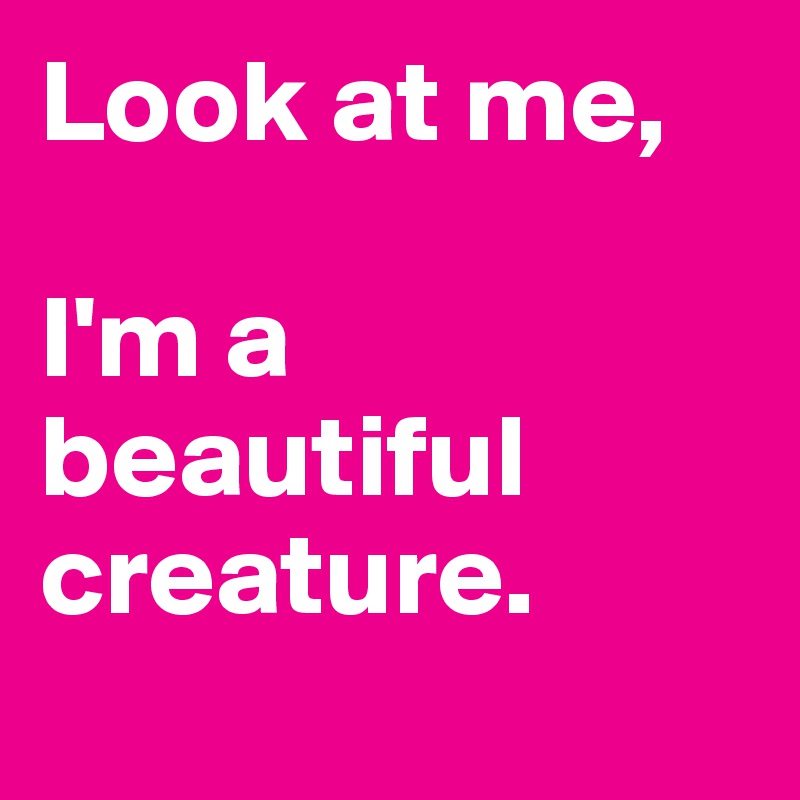 Look at me, 

I'm a 
beautiful creature. 
