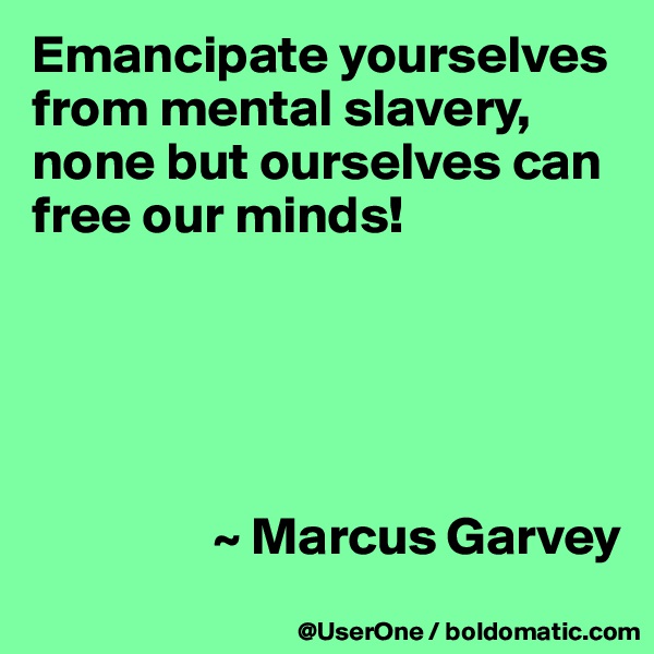 Emancipate yourselves from mental slavery, none but ourselves can free our minds!





                 ~ Marcus Garvey