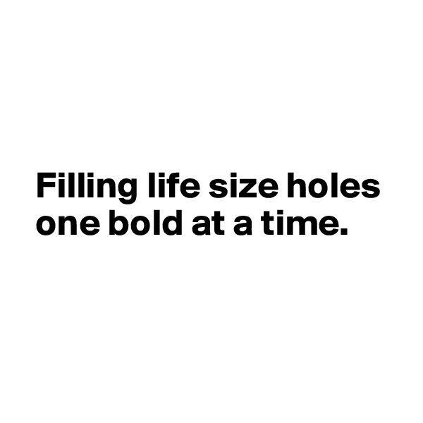 



  Filling life size holes  
  one bold at a time. 



