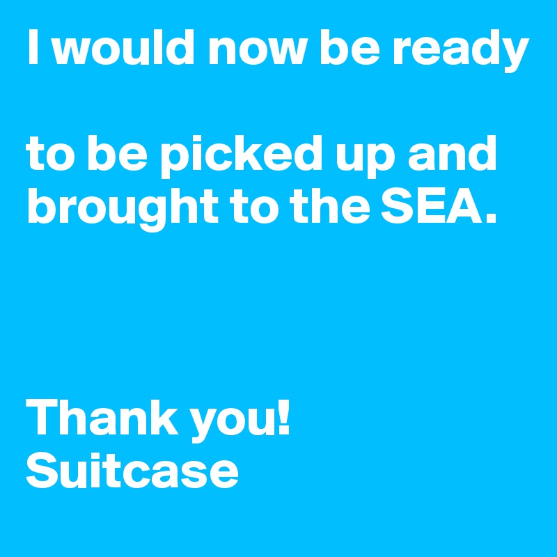 I would now be ready

to be picked up and brought to the SEA.



Thank you! 
Suitcase