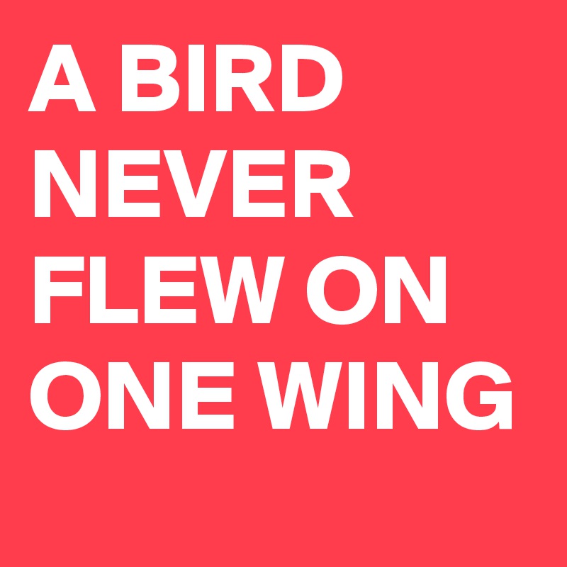 A BIRD NEVER FLEW ON ONE WING