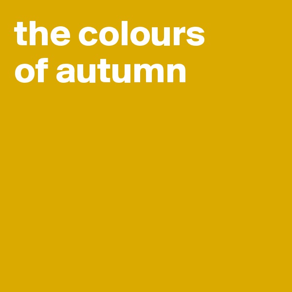 the colours 
of autumn

 


