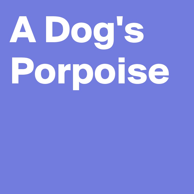 A Dog's Porpoise