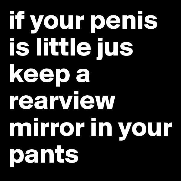 if your penis is little jus keep a rearview mirror in your pants 