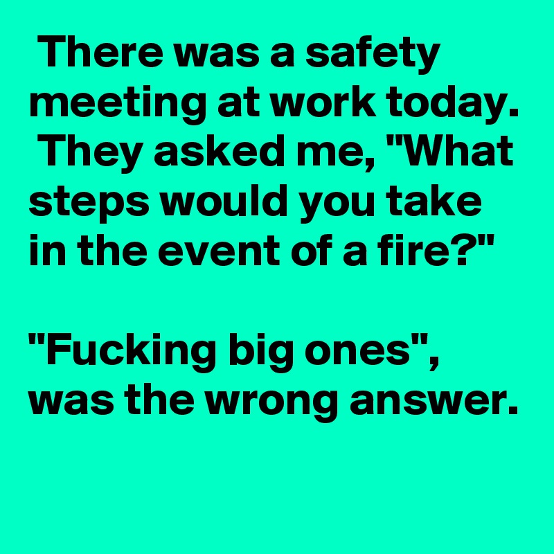  There was a safety meeting at work today.  They asked me, "What steps would you take in the event of a fire?"

"Fucking big ones", was the wrong answer.