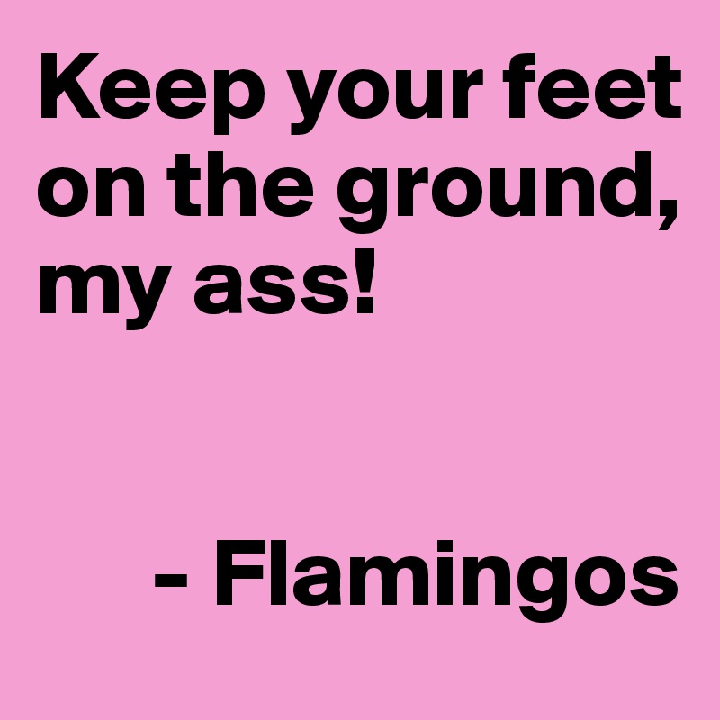 Keep your feet on the ground, my ass!


      - Flamingos
