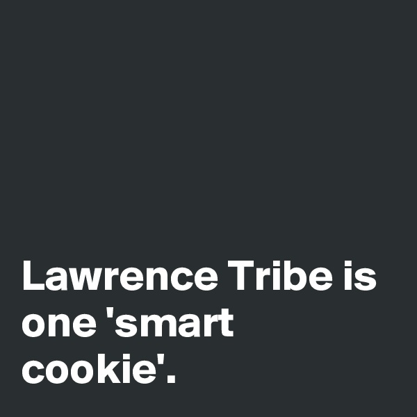 




Lawrence Tribe is one 'smart cookie'.