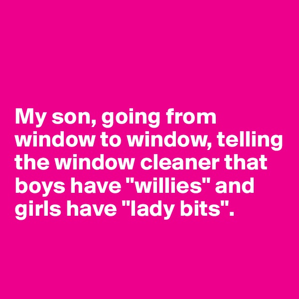 



My son, going from window to window, telling the window cleaner that boys have "willies" and girls have "lady bits". 

