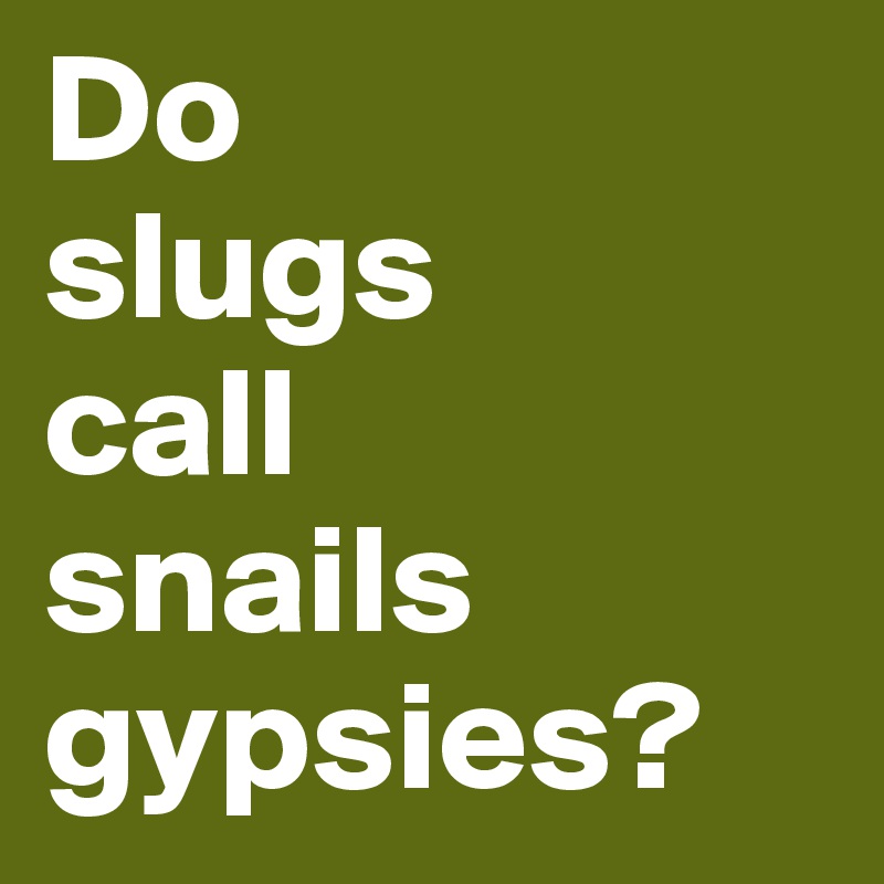Do
slugs
call
snails
gypsies?