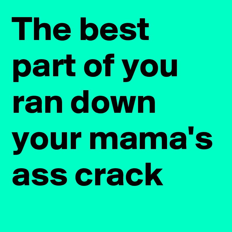 The best part of you ran down your mama's ass crack