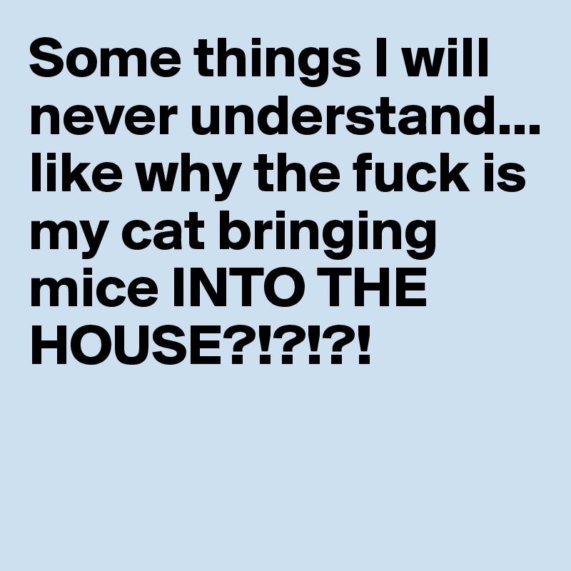 Some things I will never understand... like why the fuck is my cat bringing mice INTO THE 
HOUSE?!?!?! 

