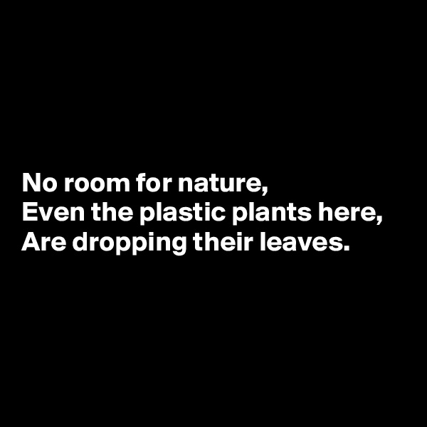 




No room for nature,
Even the plastic plants here,
Are dropping their leaves.




