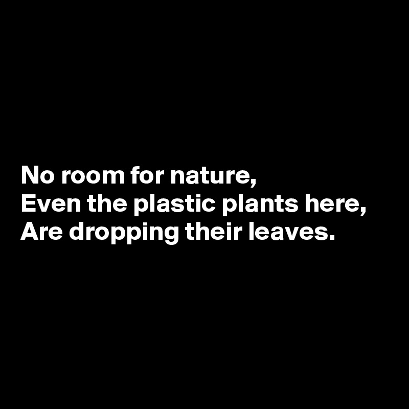 




No room for nature,
Even the plastic plants here,
Are dropping their leaves.




