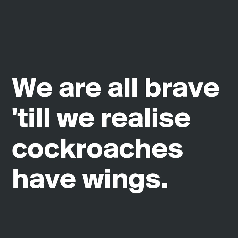 

We are all brave 'till we realise cockroaches have wings.
