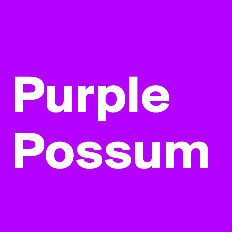 
Purple Possum
