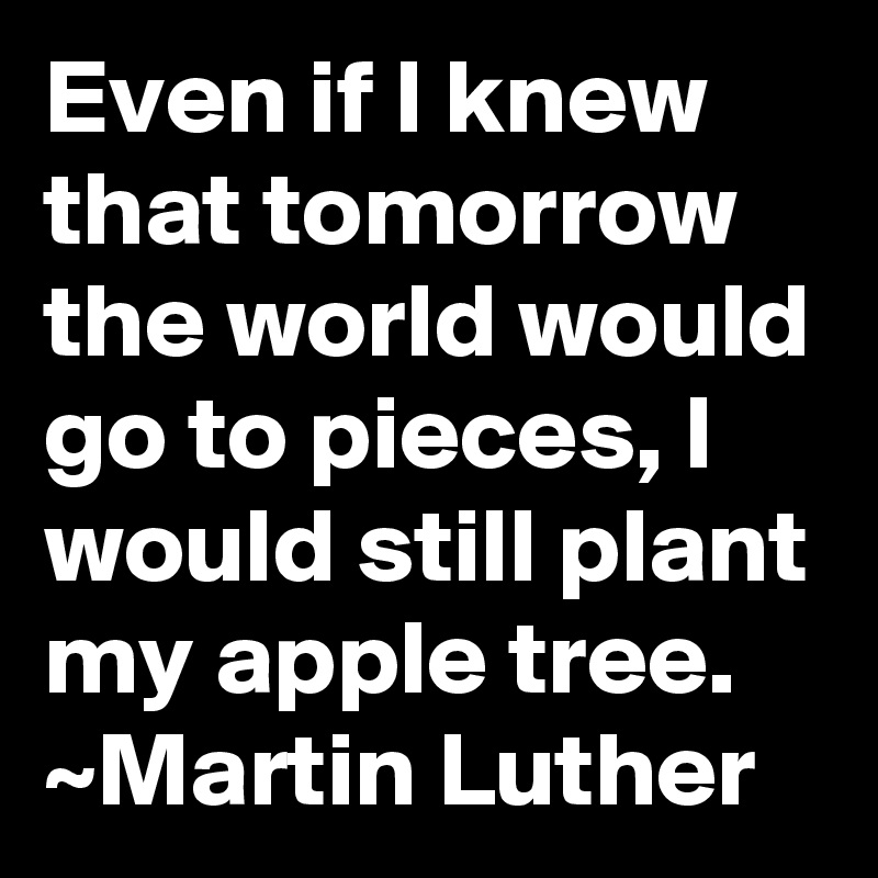 Even if I knew that tomorrow the world would go to pieces, I would still plant my apple tree.
~Martin Luther