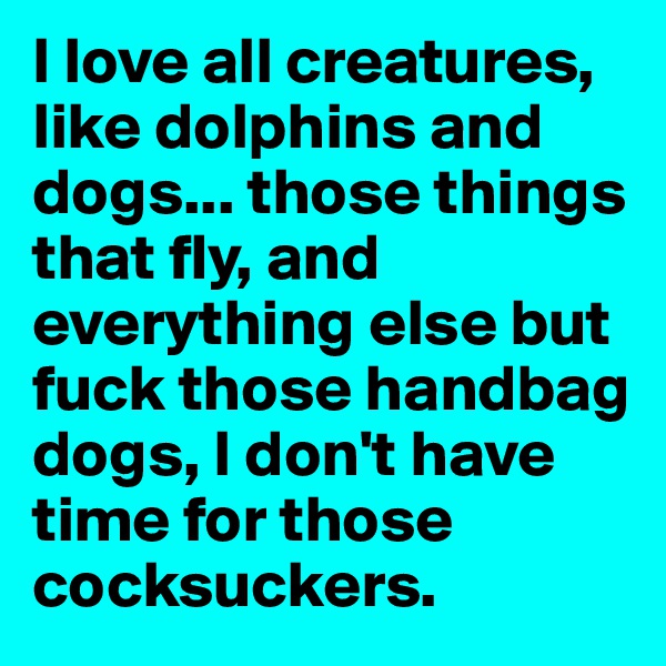 I love all creatures, like dolphins and dogs... those things that fly, and everything else but fuck those handbag dogs, I don't have time for those cocksuckers.