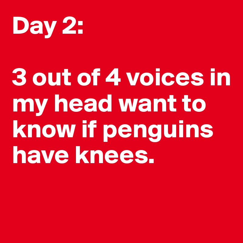 Day 2:

3 out of 4 voices in my head want to know if penguins have knees. 

