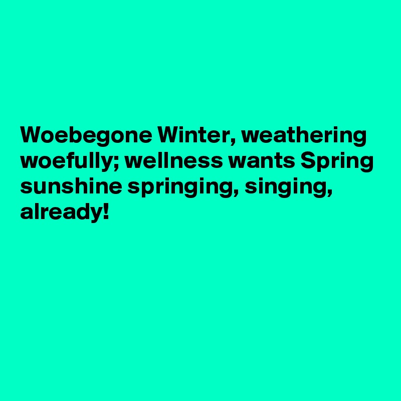 



Woebegone Winter, weathering woefully; wellness wants Spring sunshine springing, singing, already!





